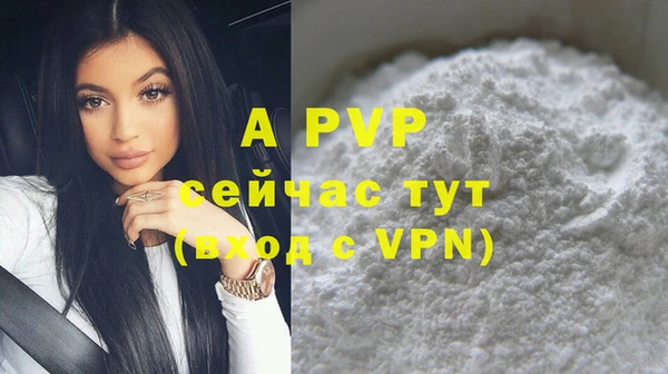 индика Магадан
